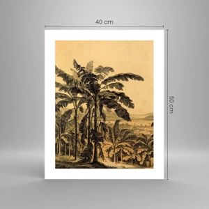 Poster - În stil colonial - 40x50 cm