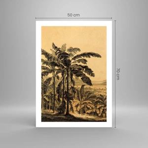 Poster - În stil colonial - 50x70 cm