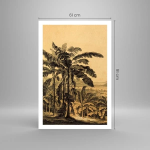 Poster - În stil colonial - 61x91 cm