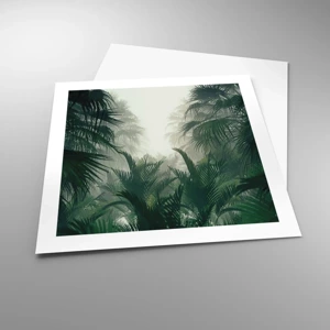 Poster - Mister tropical - 50x50 cm