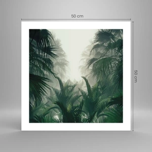 Poster - Mister tropical - 50x50 cm