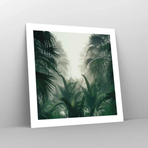 Poster - Mister tropical - 50x50 cm