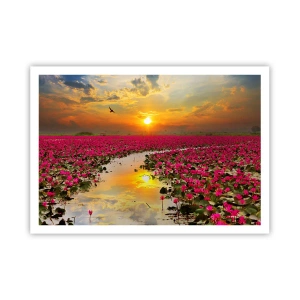 Poster - Viața secretă a lacului - 100x70 cm