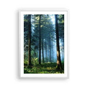 Poster în ramă albă - Strălucirea de dimineață - 50x70 cm