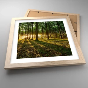 Poster în ramă de stejar deschis - Fotografia tuturor primăverilor - 30x30 cm