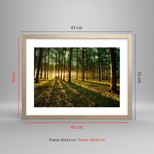 Poster în ramă de stejar deschis - Fotografia tuturor primăverilor - 40x30 cm