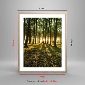 Poster în ramă de stejar deschis - Fotografia tuturor primăverilor - 40x50 cm