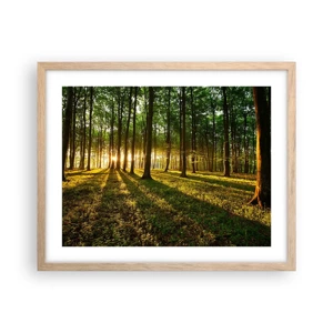 Poster în ramă de stejar deschis - Fotografia tuturor primăverilor - 50x40 cm