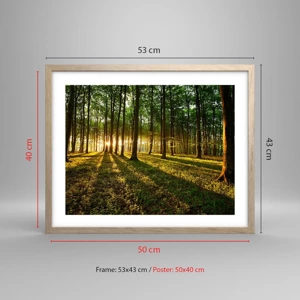 Poster în ramă de stejar deschis - Fotografia tuturor primăverilor - 50x40 cm