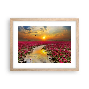 Poster în ramă de stejar deschis - Viața secretă a lacului - 40x30 cm
